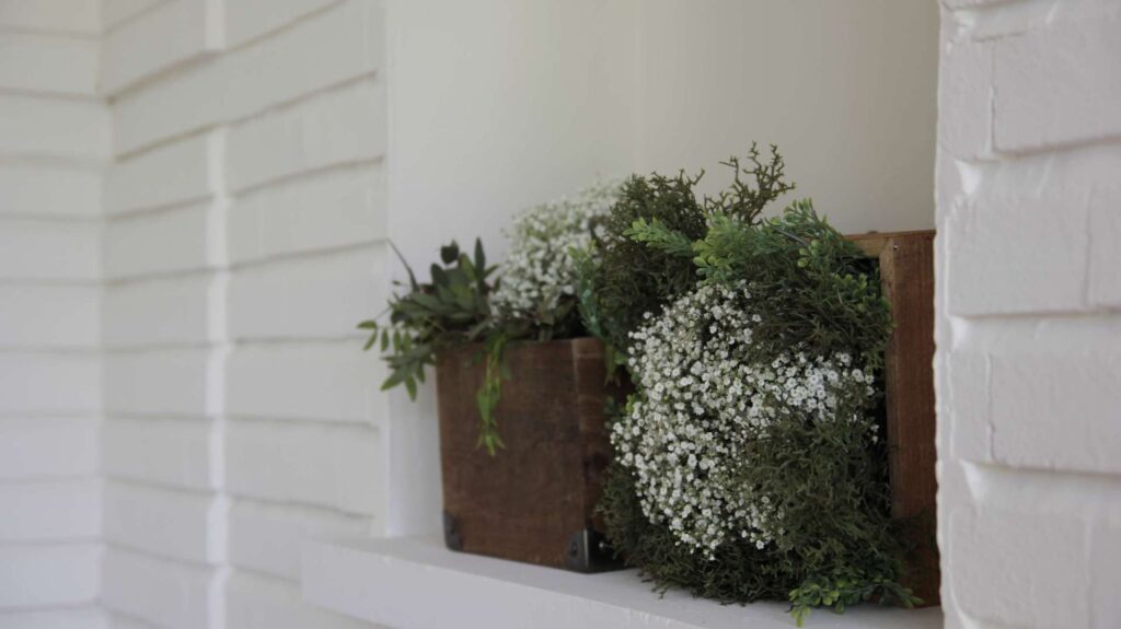 decoracion-oiginal-con-plantas