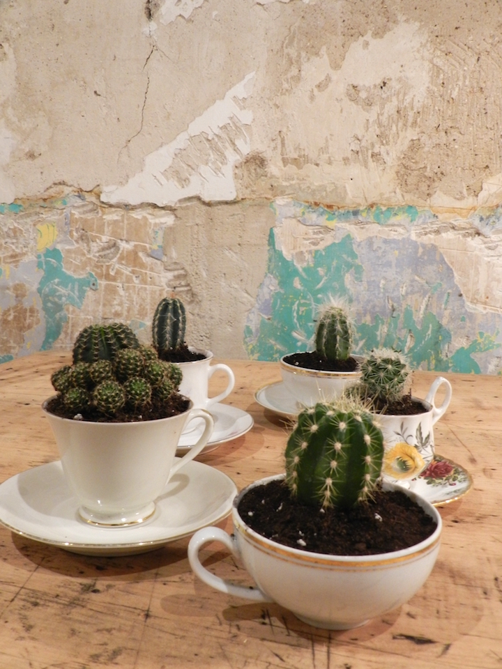 decorar-plantas-dekinsa