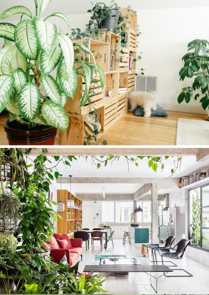 separar-espacios-plantas-dekinsa